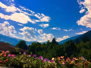 Ferienwohnungen Luxner