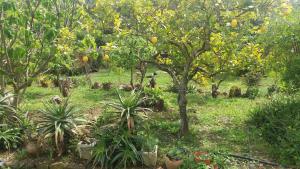 Traquility at Villa Fonte Coberta