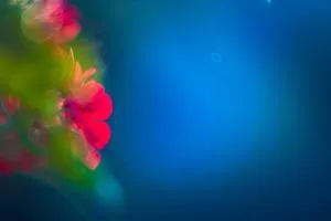 Dimora La Grazia - Кастельветрано