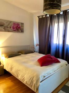 Cozy Studio in Central Geneva