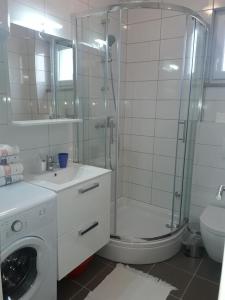 Apartments with parking space Supetar, Brac - 16130