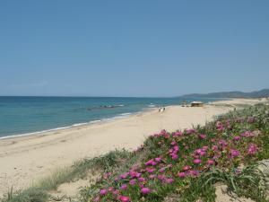 Marina Manna Hotel and Club Village img65