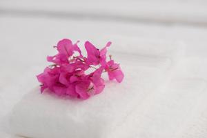 Theotoki Liston Suite