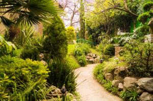 Suite 3C, Jacaranda, Garden House, Wewlcome to San Angel