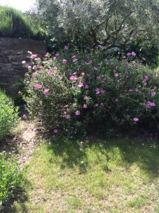 Maisons de vacances Le Mazet Des Joncs en Provence : photos des chambres