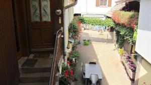 Maisons de vacances Gite du Vignoble : photos des chambres