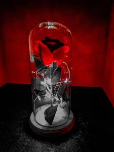 B&B / Chambres d'hotes Suite Romantique : photos des chambres