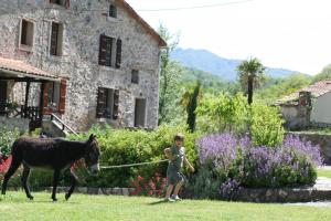Maisons de vacances Mas Manyaques : photos des chambres