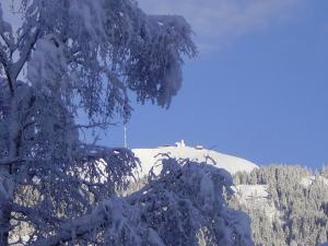 Apartment Landhaus Krall