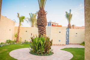 Talah Resort منتجع تاله العماريه الرياض Al Ammariyah 2020 Reviews Pictures Deals