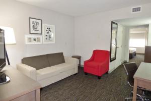 One-Bedroom King Suite with Sofa Bed - Non-Smoking room in Country Inn & Suites by Radisson Tampa/Brandon FL