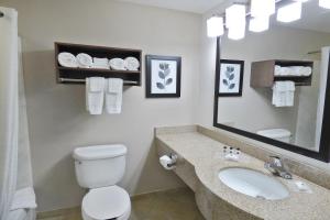 Queen Room with Two Queen Beds - Disability Access/Non-Smoking room in Country Inn & Suites by Radisson Tampa/Brandon FL