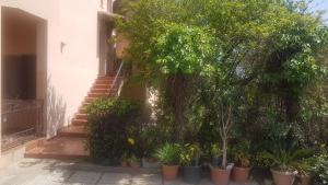 La Vigna For Family img36