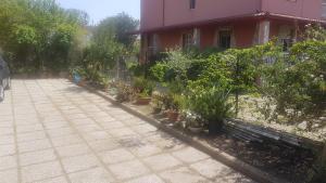 La Vigna For Family img40