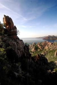 Hotels Hotel Scandola : photos des chambres