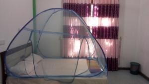 Priyanna Guest, Forest view