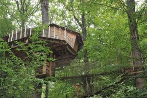 Campings Les cabanes du lac du Der : photos des chambres