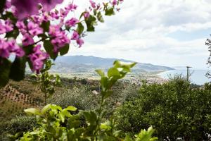 Casa Pendio Cilento