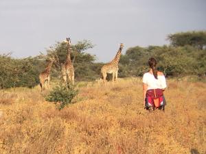 Maasai Simba Camp