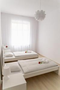 Apartament Różany
