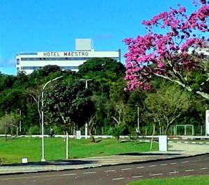 Hotel Maestro Villa Do Lago Toledo