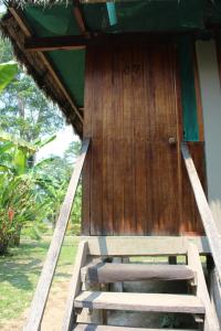 Paradise Amazon Tambopata Ecolodge