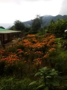 Vamoose Dilpali Homestay - Mirik