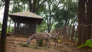 Amaris Hotel Mampang - Jakarta