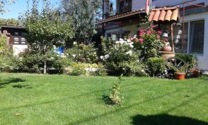 Guest house Tanya