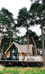 Toad Hall - 格里姆斯顿