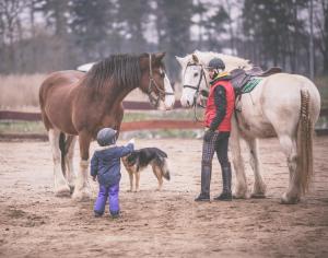 Quatro Osrodek Jezdziecki - Gospodarstwo Agroturystyczne