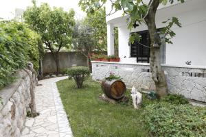 Apartments Sucur with Terrace