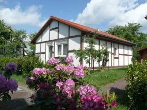 Ferienhaus Kogge im Feriendorf Alt - Bachenbrock