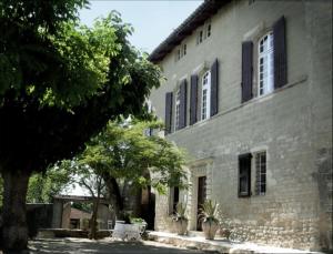 Monte Arena photo 9