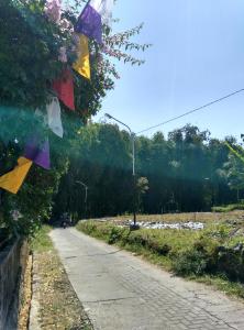 Pondok Bamboo Sendangsari