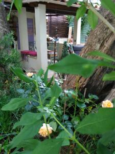 2 pièces, Proche centre ville, GIP ASFO, Jardin et Parking Privatifs