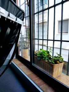 Loft San Diego 2