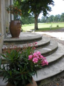 B&B / Chambres d'hotes Manoir Larcouillet : photos des chambres