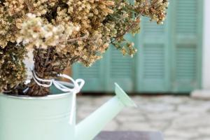 Himara Hostel, Hostelek - Himara