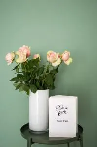 Piedaterre sulle Mura - Treviso to Venice - 奎托·迪·特雷维索