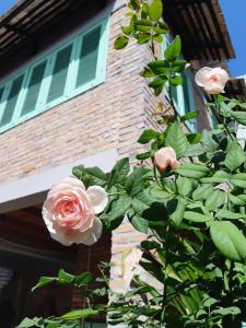 Nam Thi Holiday Home