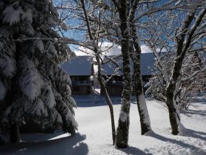 Appart'hotels Residence Le Bois de la Reine : photos des chambres