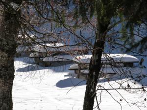 Appart'hotels Residence Le Bois de la Reine : photos des chambres