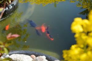 Ferienunterkuenfte Buggenthin