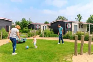 Camping Ginsterveld - برغ هالمستاد