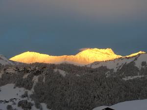 Chalets Chalet Nanook : photos des chambres