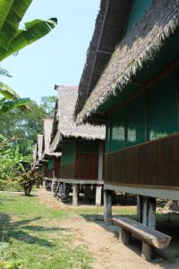 Paradise Amazon Tambopata Ecolodge