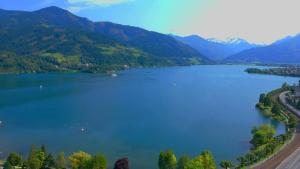 Arnsteiner Apartments