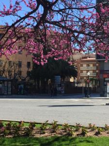 Hotel Cosmos Tarragona