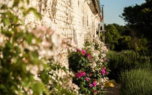 B&B / Chambres d'hotes Logis du paradis : photos des chambres